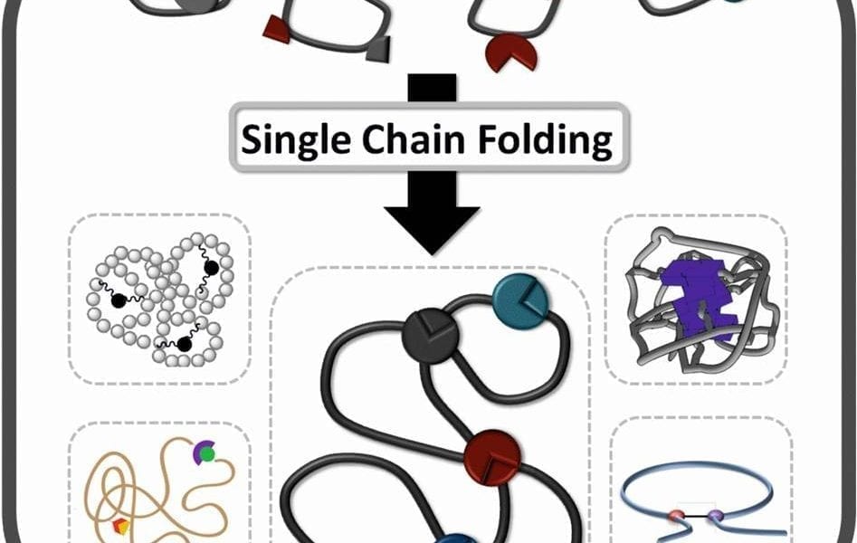 Single Polymer Chain Folding A Review Advanced Science News