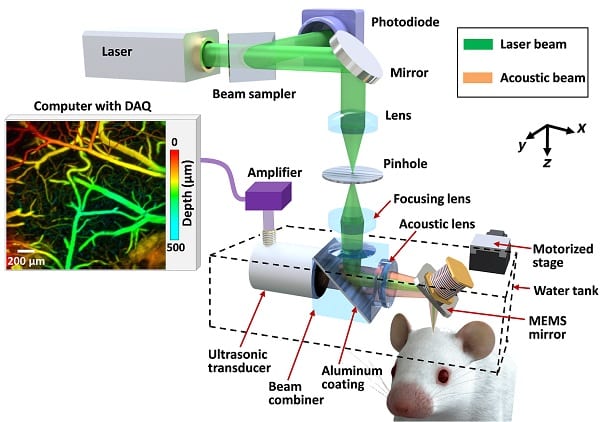 http://www.advancedsciencenews.com/wp-content/uploads/2017/08/16-236small.jpg