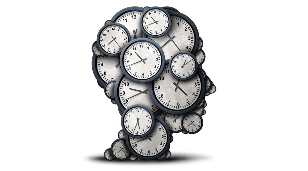 Image result for The circadian clock Nobel