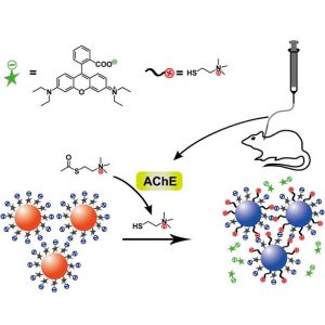 Gold-Nanoparticle-Based Assay for Alzheimer’s Disease