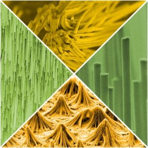 An assortment of nanostructures