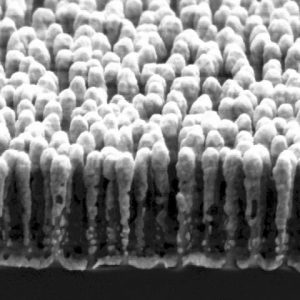 Silicon nanopillars for SERS