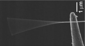 Nanowire vibrating at the resonance frequency.