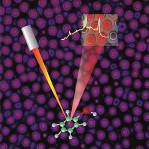 electrohydrodynamic-structures-for-SERS