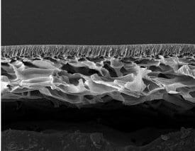 SPEEK nanofiltration membrane SEM