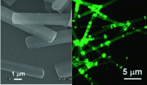 slab-nanocrystal nanolasers
