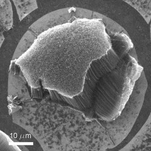 Nanotube plateau