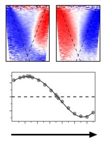 Incident light that’s p-polarized (upper left) produces photoelectrons consistent with the usual picture of spin polarization in a topological insulator’s surface, but changing the polarization of the incident light also changes the spin polarization of the photoelectrons.