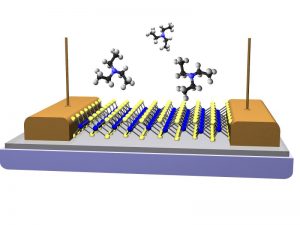 This is a schematic of a vapor sensor fabricated from a single monolayer of MoS2. The conductivity of the MoS2 channel changes as specific types of vapor molecules briefly interact with the surface. Molecules of triethylamine are shown a chemical assoicated with V-series nerve gas agents. Image: U.S. Naval Research Laboratory.