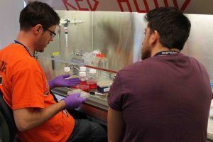 Students in the laboratory  making biomedical materials