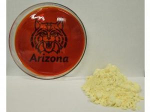 A University of Arizona-led research team has discovered a simple process for making a new lightweight plastic from the inexpensive and abundant element sulfur. The petri dish on the left contains the plastic. The yellow powder on the right is sulfur. The team has already made a lithium-sulfur battery -- the type of next- generation battery that is lighter and cheaper than those currently used in electric and hybrid cars. Jared Griebel/ Pyun lab, University of Arizona department of chemistry and biochemistry.