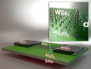 Schematic view of a back-gated field effect transistor fabricated by UCSB researchers using monolayer tungsten diselenide (WSe2) channel material. Image: Peter Allen, UCSB.