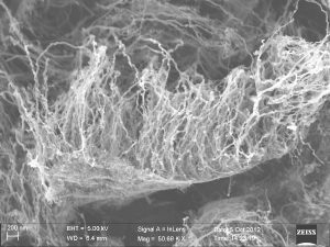 Rice University and the Honda Research Institute use single-layer graphene to grow forests of nanotubes on virtually anything. The image shows freestanding carbon nanotubes on graphene that has been lifted off of a quartz substrate. One hybrid material created by the labs combines three allotropes of carbon – graphene, nanotubes and diamond – into a superior material for thermal management. Image: Honda Research Institute.