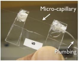 Microfluidic optomechanical capillary resonator with fluid control tubing