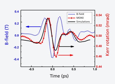 A pulse from a terahertz laser (blue) controls the magnetisation of a material: the magnetisation (red - determined via the magneto-optic Kerr effect MOKE) follows the laser pulse’s magnetic field with a slight delay. The black curve shows the prediction of a computer simulation. Source: PSI