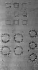 Micrograph of polymer film patterned using near infrared light