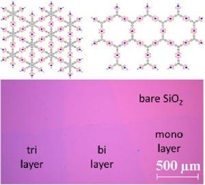 freestanding-organometallic-sheet