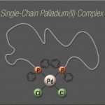 signle-chain folding