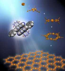 Rigid triangular struts self-assemble in combination with macrocycle rings in solution to create a supramolecular organic framework (SOF). Each strut contains functional units that resist stacking to maintain the 2D framework in a single layer.