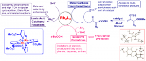 Scheme 3. Metal carbene-mediated transformations to generate a myriad of heterocycles. Figure kindly provided by Prof. M. P. Doyle.