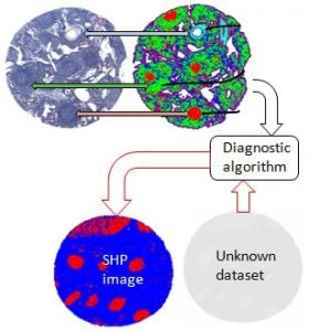 Spectral histopathology process