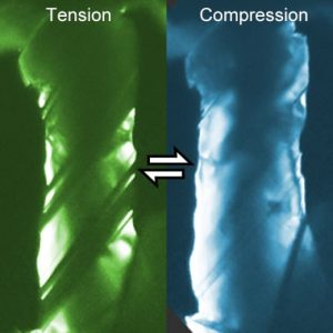 Detwinning in full view: twins, seen as dark areas in the left image, disappear upon load reversal in the right image.