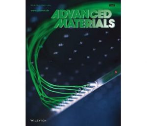 Working model of the programmable material, shown on the cover of Advanced Materials, issue March 5th, 2014.