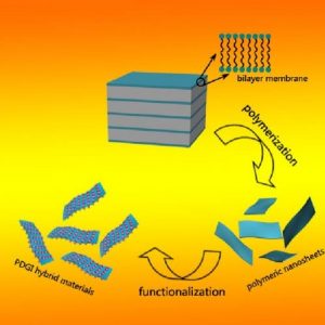 polymeric nanosheets