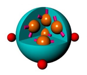 A schematic of the doxorubicin-loaded nanoparticle.