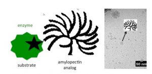 standardising-and-characterizing-polymers