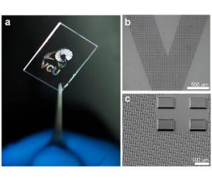 A wide range of patterns and features can be formed from silk proteins at small length scales. For example, microscale dots can be printed on glass to form a silk hologram. Image: Vamsi Yadavalli, Ph.D./VCU.