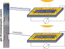 pssa-Nanotube