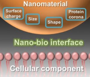 exploiting-nanomaterials-for-medicine