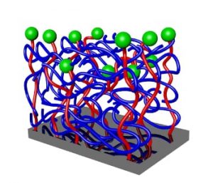 polymeric-thin-films