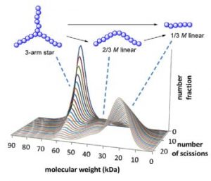 modeling-star-polymers