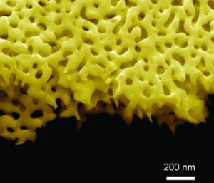 improved-mos2-catalysts-for-hydrogen-production