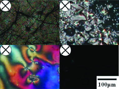 Various phases of the terphenyl based liquid crystalline epoxy resin, as seen in polarized optical micrographs.