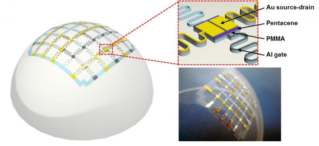 Schematic illustration of organic thin-film transistors fabricated on the polyurethaneacrylate substrate.