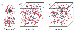 The three types of nanoparticle-hydrogel composite