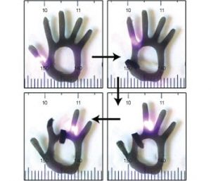 proteins-in-biomaterials