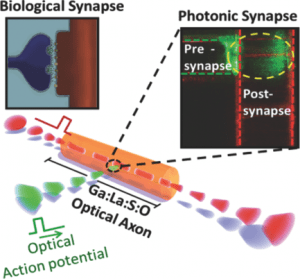 photonic synapse