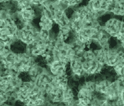 Nanoporous-gold-MnO2-SEM