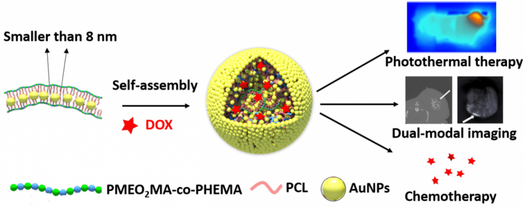 Nanogold chains assemble into multifunctional micelles capable of a variety of biomedical applications