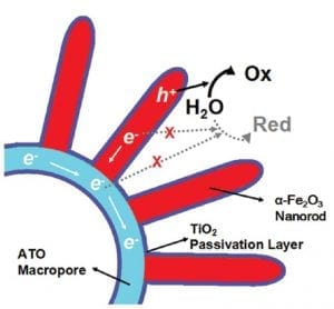 Schematic of water splitting by photoelectrochemical cell