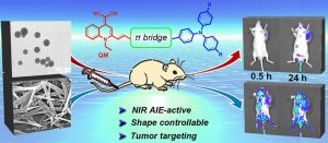 aie-nanoprobes