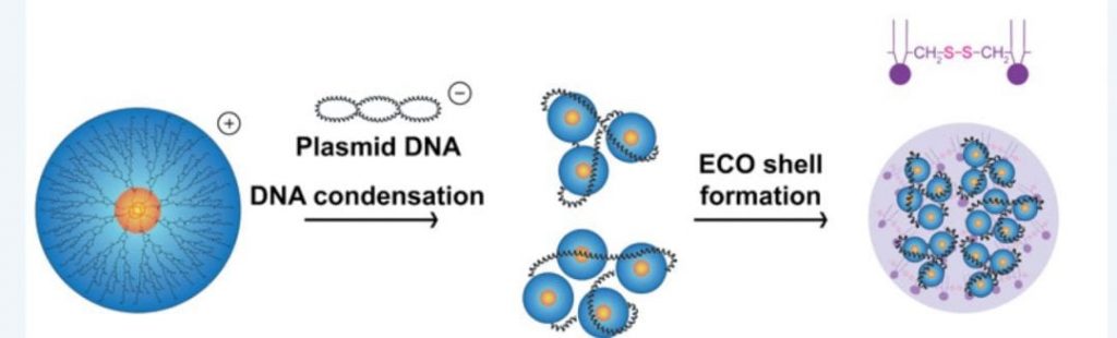 non-viral-nanoparticles-gene-therapy