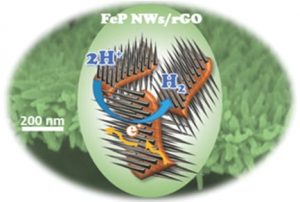 New electrocatalyst material composed of iron phosphide (FeP) nanowires (NWs) and reduced graphene oxide (rGO).