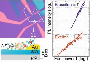 MatViews_RRL_Biexciton_4