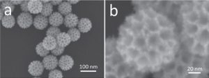 SEM images of mesoporous bimetallic PdPt spheres