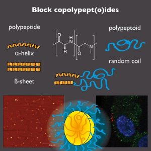 copolypept(o)ides